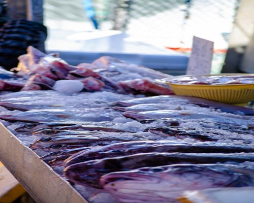 Freshly caught fish displayed on ice in a local market